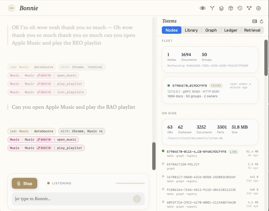 The Totems pane: fleet and on-disk totals for a knowledge graph built from the user's own files, and a live registry of per-database entries with size and last-seen time.